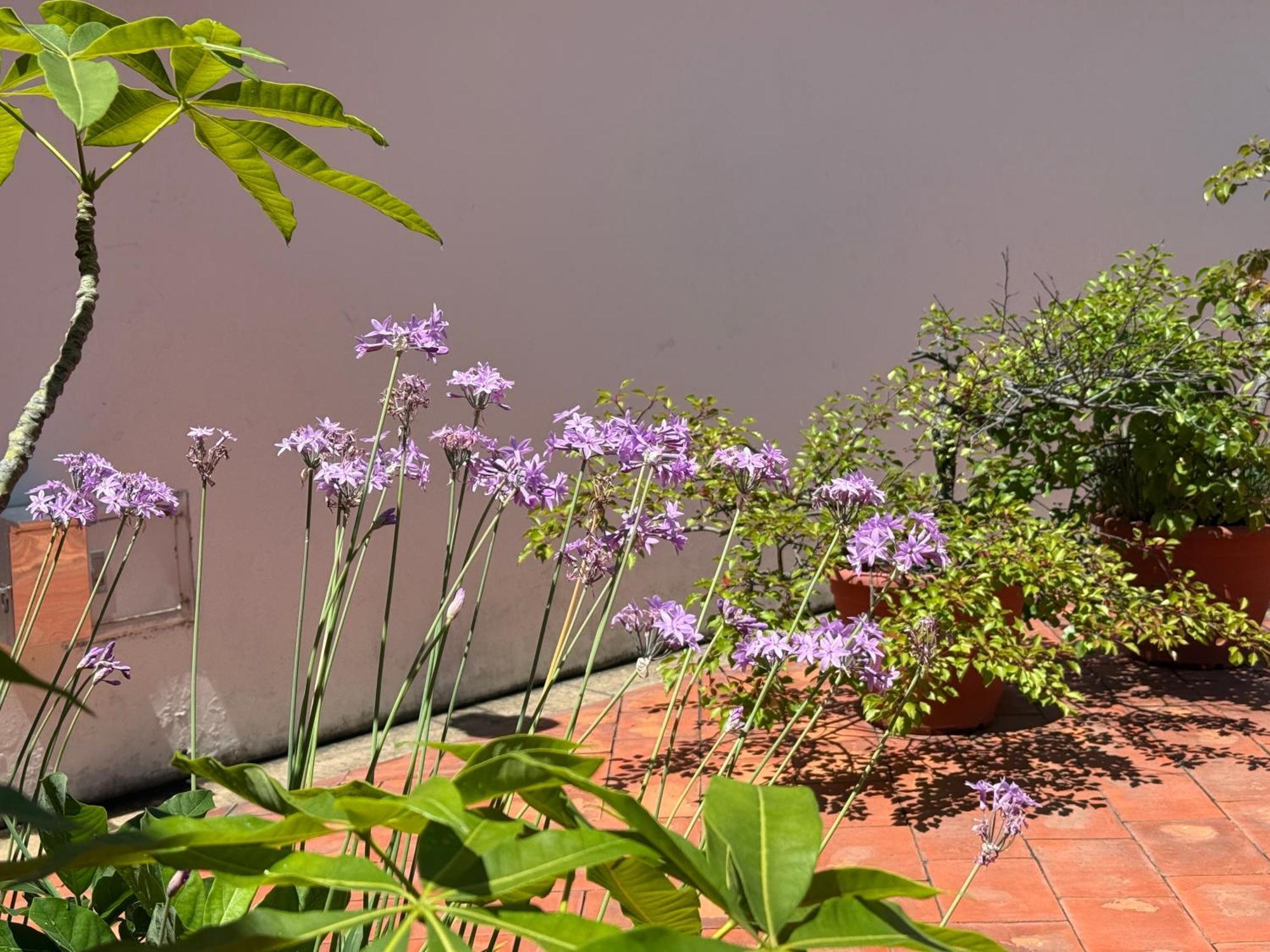 Grace Homestay 54 Jincheng Zewnętrze zdjęcie